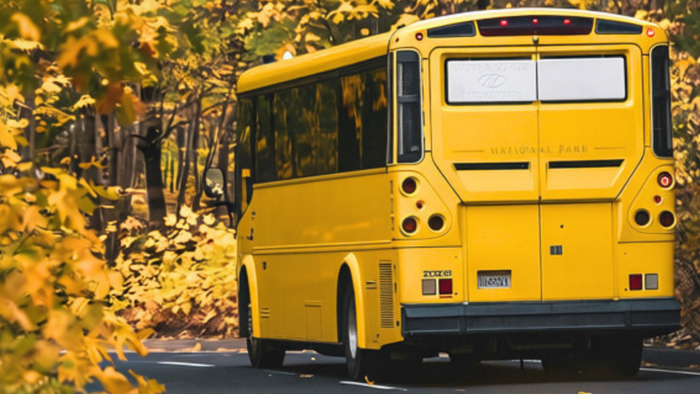 En lysende gul bus kører ned ad en malerisk, solbeskinnet skovvej omgivet af efterårsløv.