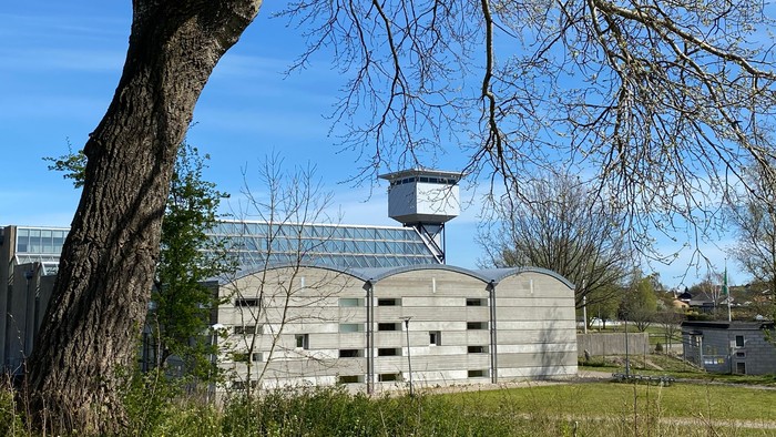 Et træ foran en moderne bygning med en klokketårn.