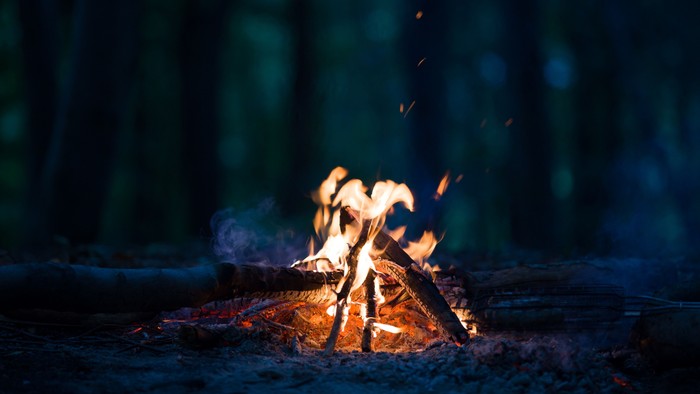 Et lille lejrbål brænder klart i en svagt oplyst skov, hvor flakkende flammer kaster skygger.