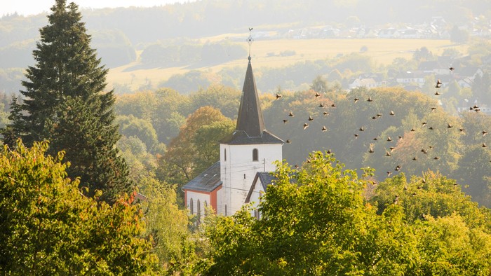 Ein friedlicher Kirchturm erhebt sich über üppiges Grün, während im Hintergrund ein Schwarm Vögel vorbeizieht.