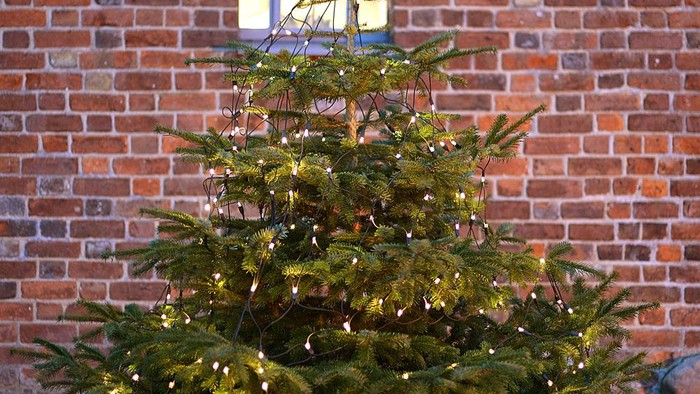 En juletree med lys og pynt foran mursten.