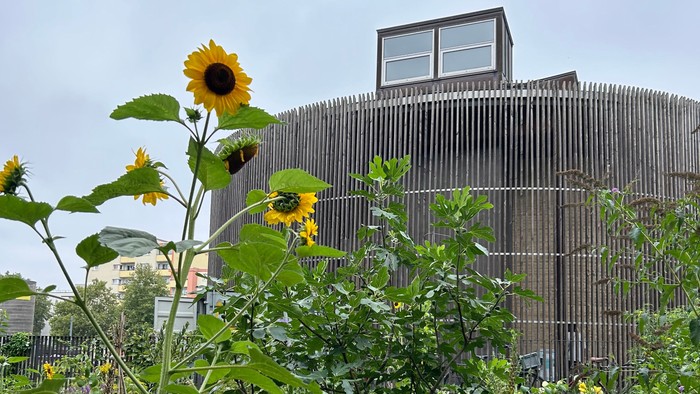 Die Kapelle der Versöhnung mit blühender Sonnenblume