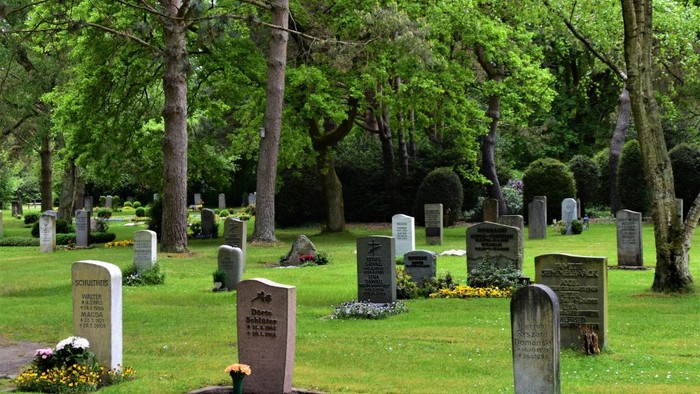 Ein friedlicher Friedhof mit vielen Gräbern und Bäumen.