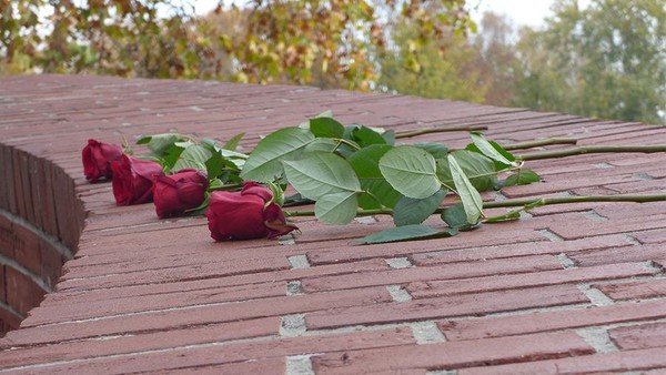 Rote Rosen liegen auf der Mauer des Mahnmals