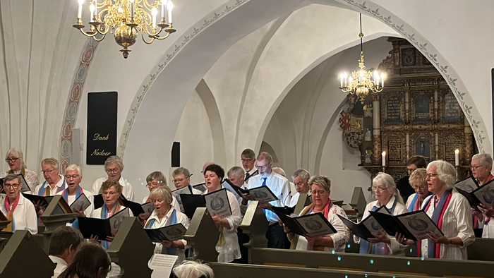Et kor optræder i en prægtig kirke, hvor medlemmerne synger fra noder under en koncert.
