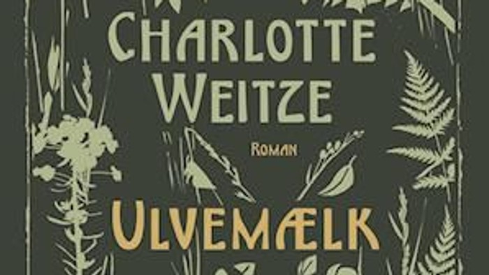 Omslaget til Charlotte Weitzes roman *