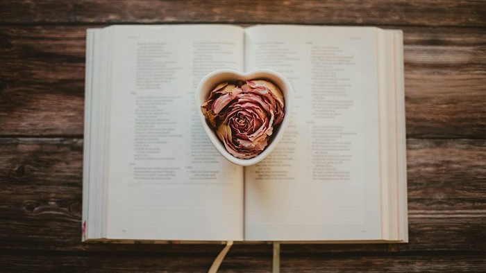 Blüte in herzförmiger Schale auf geöffnetem Buch