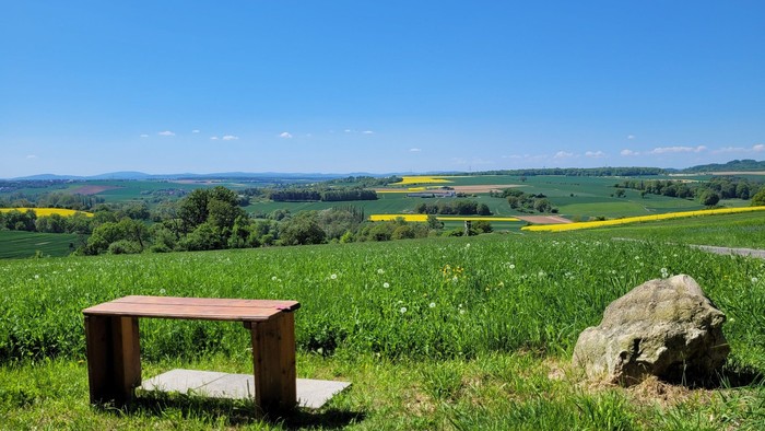 Eine ruhige Landschaftsszene mit einer Holzbank, die über üppige grüne Felder und leuchtend gelbe Felderfrüchte unter einem klaren Himmel blickt.
