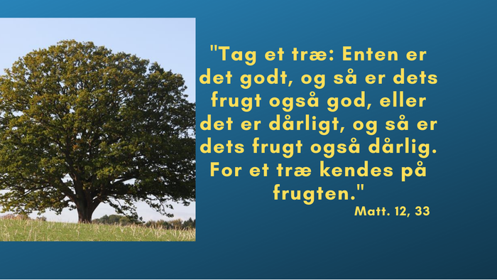 Billedet viser et træ og en citat fra Matthæus 12,33.