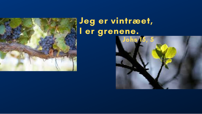 Jeg er vintræet, og er grenene.