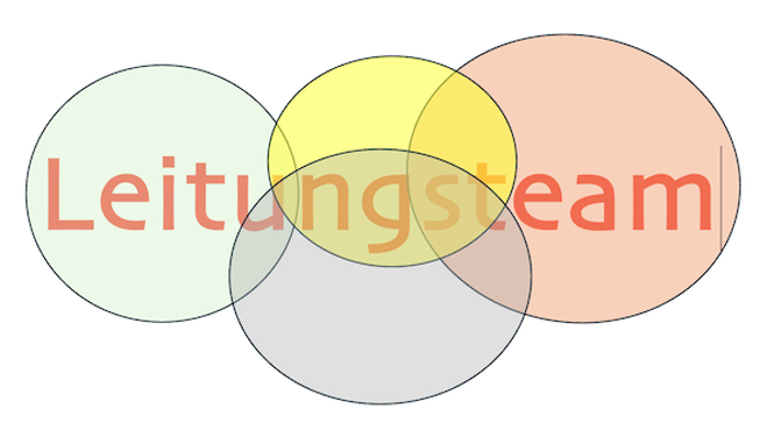 Leitungsteam
