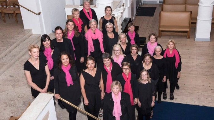 Gruppe af kvinder i sort og pink, der poser på en trappe