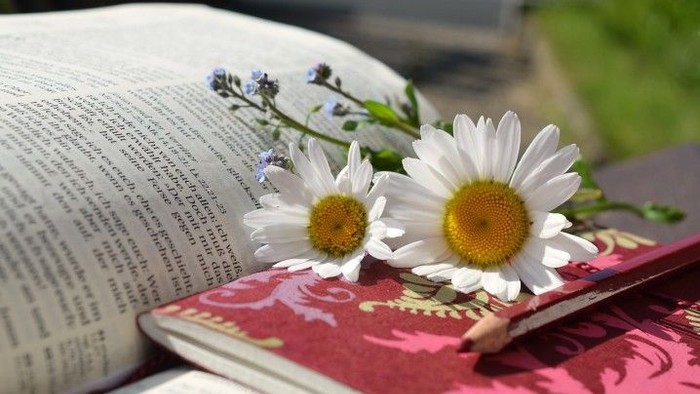 Blumen liegen auf einer Bibel