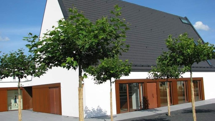 Modernes Haus mit großen Fenstern und drei Bäumen davor