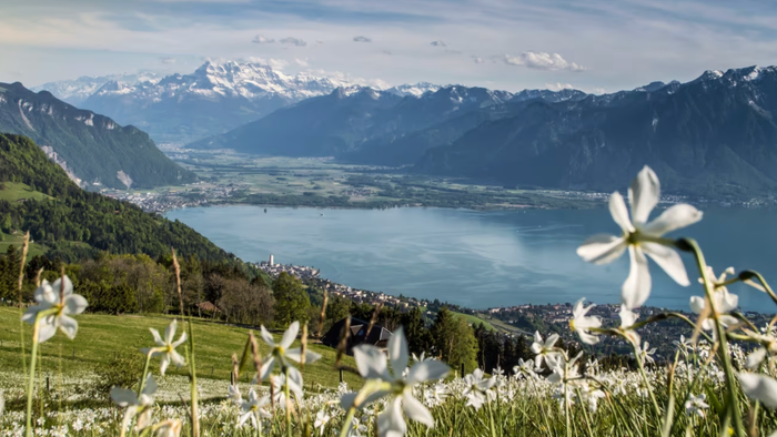 Blick auf den Genfer See vom Berg Les Pléiades