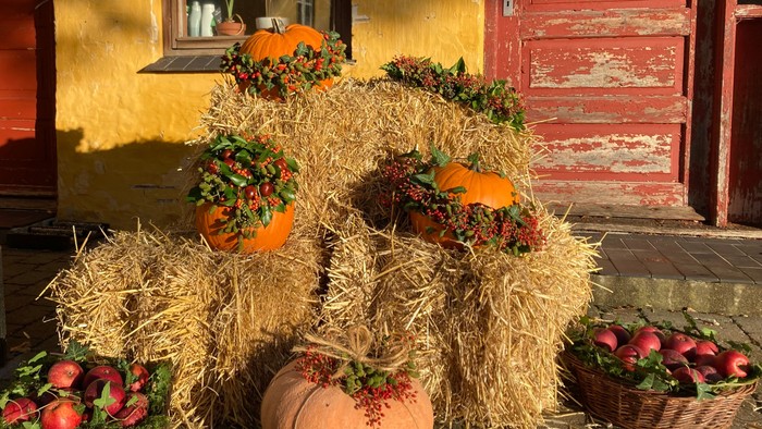 En hyggelig efterårsudstilling med pumpker og blomster foran en rød dør