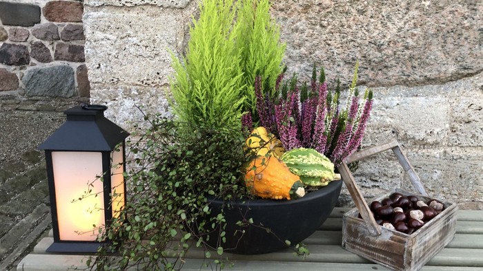 En pyntet skålbord med blomster, pumpker og en lygte.