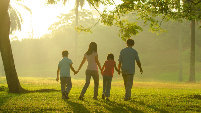 Eine Familie geht Hand in Hand durch einen ruhigen Park im goldenen Licht der Abendsonne.