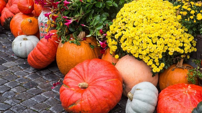 En uldig af pumpker og blomster på en fladt murstenet flise.