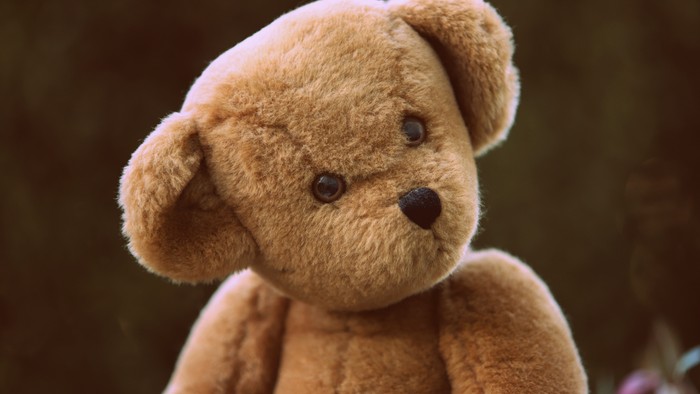 Et brunt teddybjørn sitter i naturen