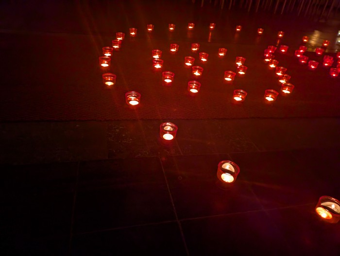 PXL_20241109_193357950.NIGHT.jpg