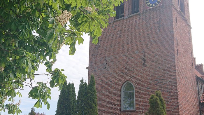 En murstenskirke med klokketårn og en have med buske og blomster.