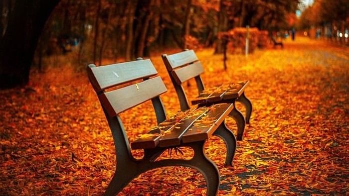 Ein einsamer Parkbank im Herbstlaub