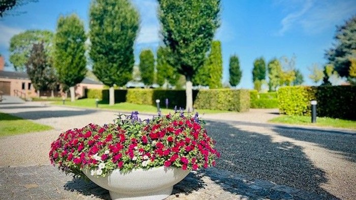 Farverigt blomsterarrangement i en hvid krukke på en rolig, træbevokset sti.