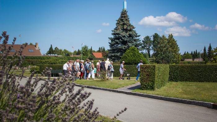 En gruppe mennesker går på en vej i en park med lavendel og træer