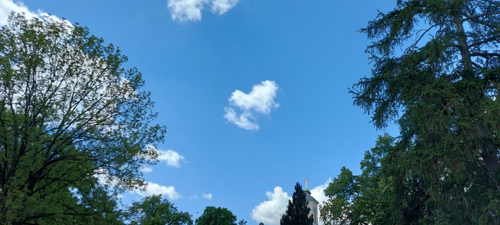 20260513_121752.jpg