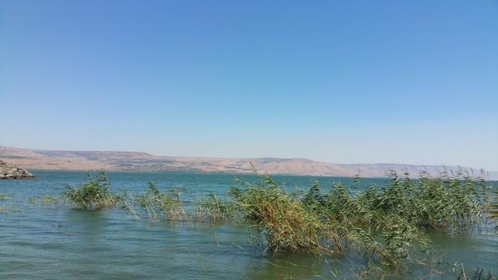 20190714_142335.jpg