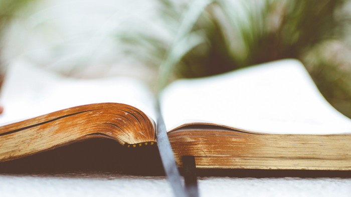 Offenes Buch mit leeren Seiten und einem darauf liegenden Stift.
