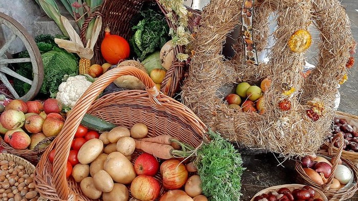 Großer Korb mit frischem Obst und Gemüse, darunter Äpfel, Kartoffeln und Esskastanien.