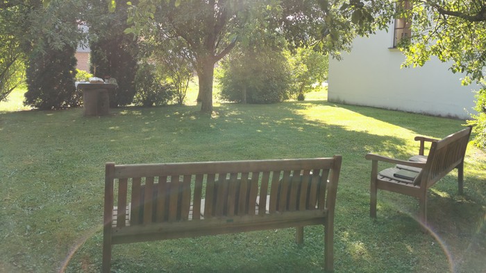 Ein ruhiger Garten mit zwei Bänken und einem Baum.