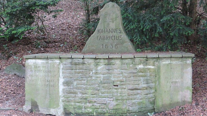 Auf dem Bild sieht man den Fabricius-Stein, einen Denkmal, vor Sträuchern.