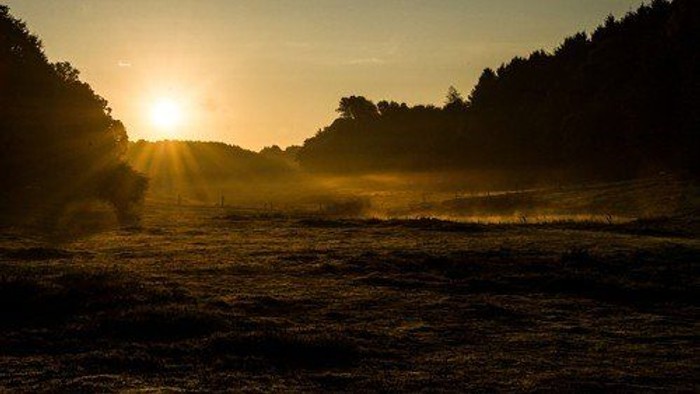 Solopgang over en bugt med skov i baggrunden