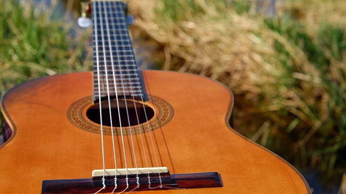 Eine braune Gitarre liegt im Gras.