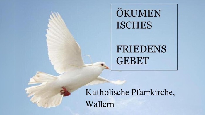 Weiße Taube fliegt am blauen Himmel, Text: 