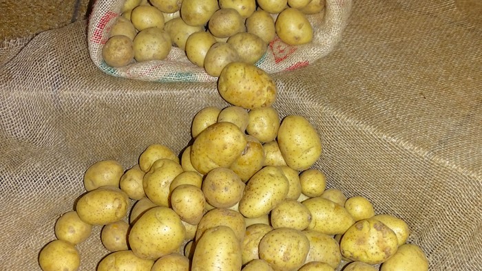 Ein Sack mit Kartoffeln auf einem Tisch.