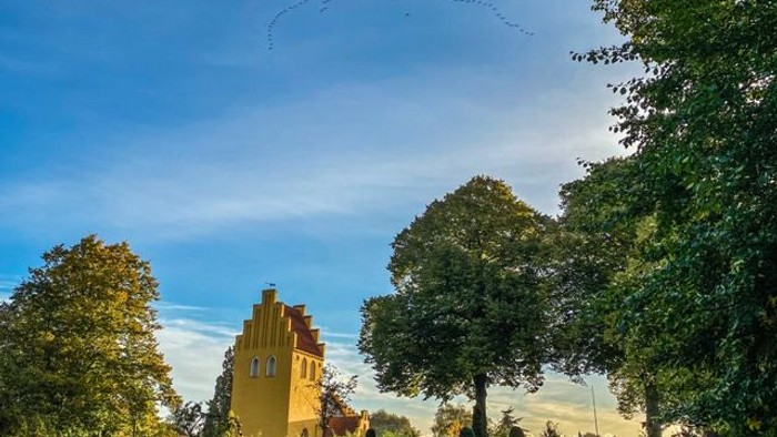 En malerisk gul kirke står omgivet af frodige grønne træer under en klar, levende himmel.