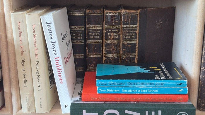 En mangfoldig samling af bøger pænt arrangeret på en bogreol, herunder klassikere og moderne litteratur.