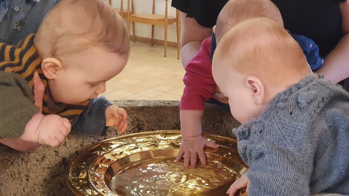 Nysgerrige babyer samles omkring et lavt bassin og rækker sammen ud i vandet.