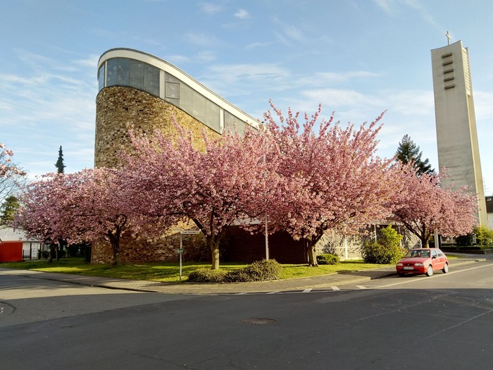 St_Markus_April_2021.jpg