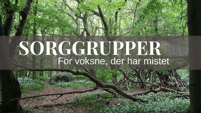 Sorggryppe for voksne, der har mistet