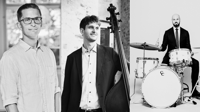 Medlemmerne af Magnus Hjorth Trio