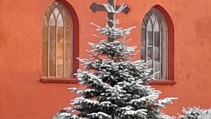 Udsmykket juletræ foran en rød kirke med sneklædte stedsegrønne træer og et kors.