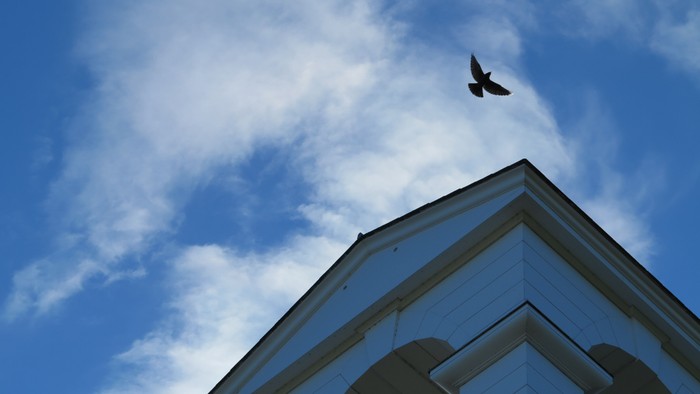 En fugl flyver over et hvidt tårn mod et blåt himmel.