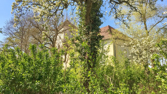 Dorfkirche Lübars von Bäumen halb verdeckt