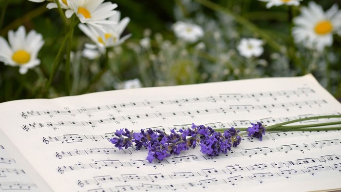 Notenblatt mit lila Blumen und weißen Gänseblümchen im Hintergrund