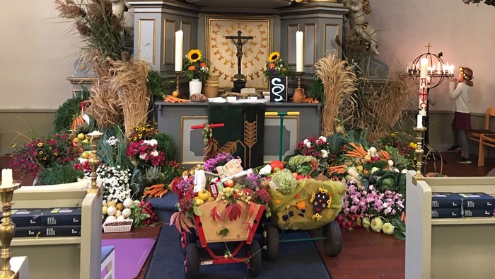 Festlich geschmückter Erntedank-Altar mit zwei Leiterwägen, Blumen, Früchten und Getreide in der Dorfkirche Lübars